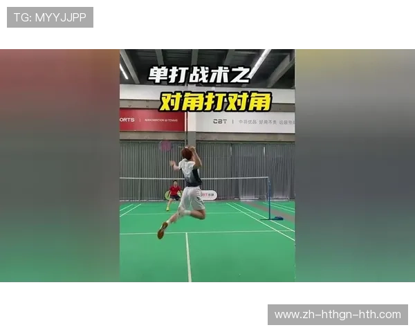 羽毛球战术分为